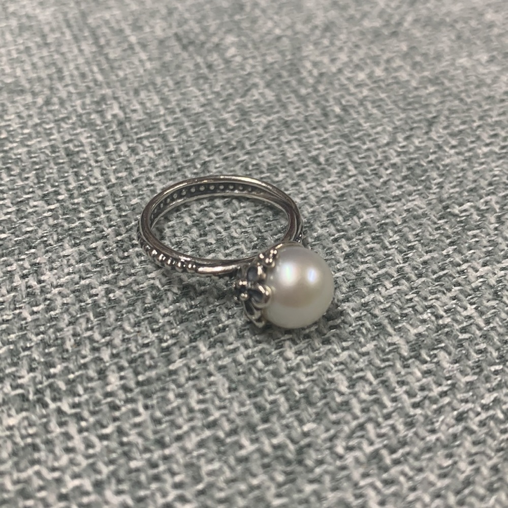 Pandora Sterling Silver Garden Odyssey Ring